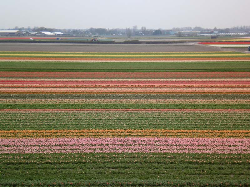 2011_HOLLAND_HLA_125 Kopie